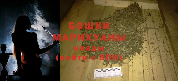 гидра Кинешма