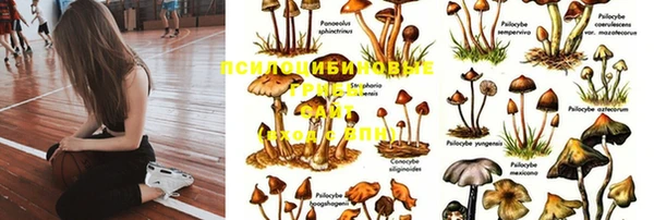 мет Козельск