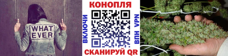 Канабис конопля  Купить  Губкин 
